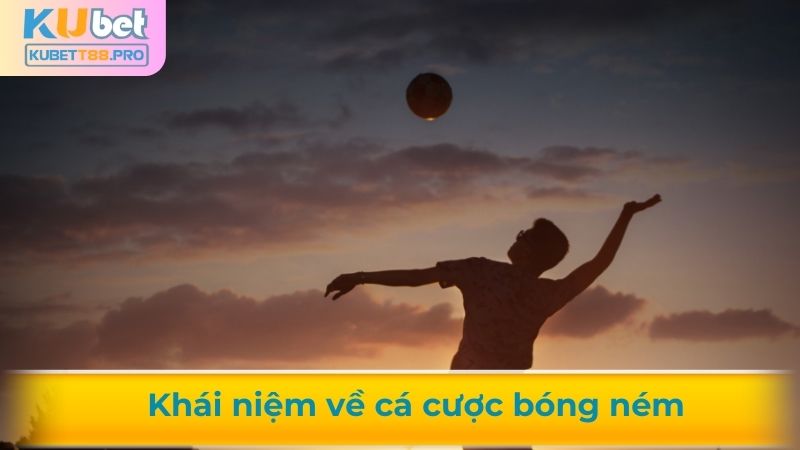 Tìm hiểu cá cược bóng ném